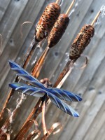 m. Triple Bullrush with Dragonfly (close up).jpg